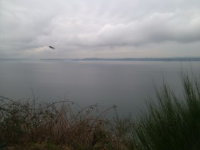 Viewpoint at Discovery Park
