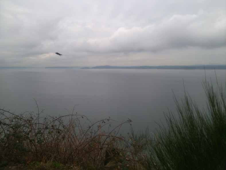 Viewpoint at Discovery Park