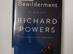 Cover of Bewilderment by Richard Powers, with a father and son sitting in the dark looking out at a star-filled sky